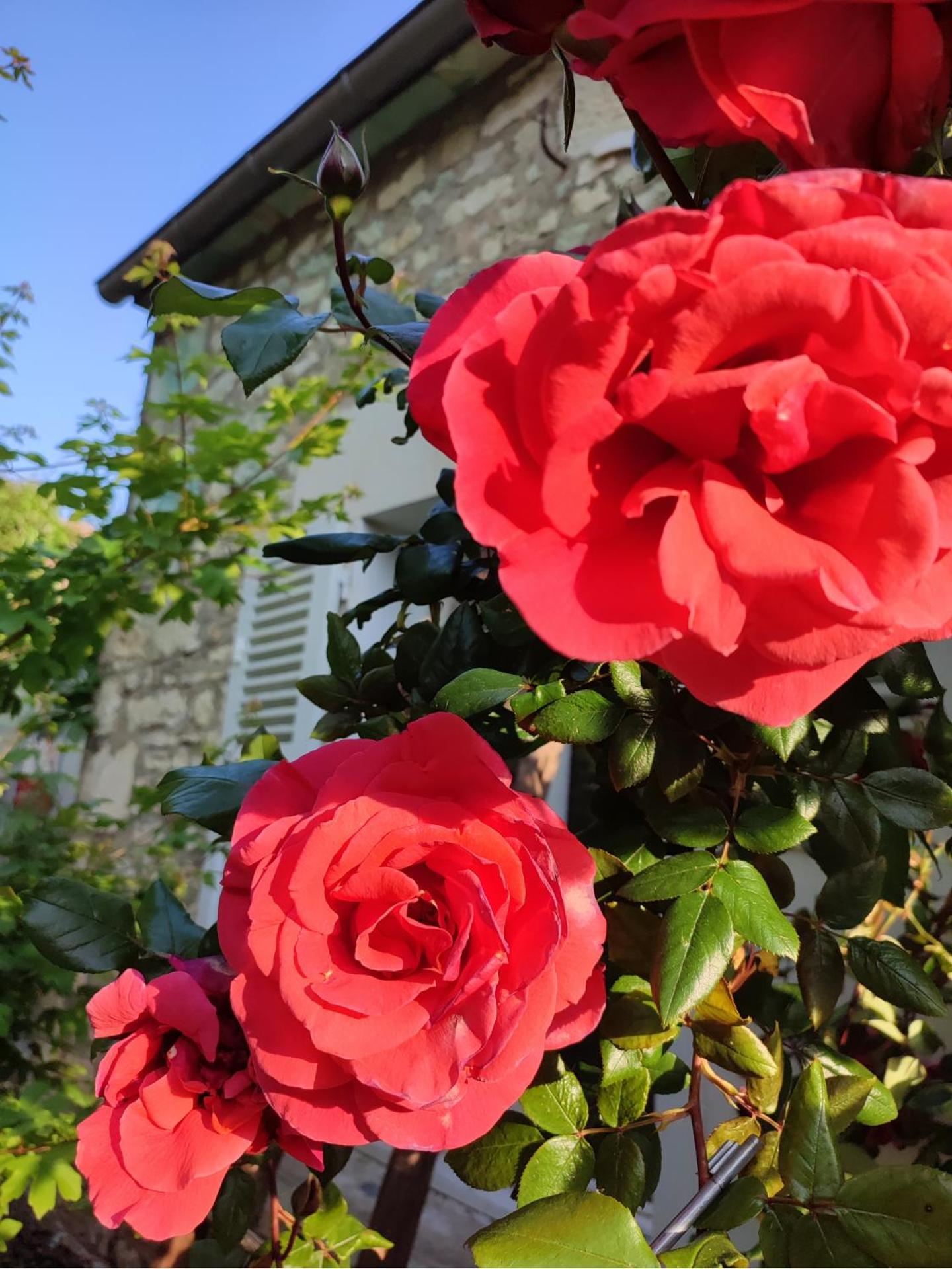 Gite En Plein Coeur Du Vignoble Chablisien Courgis Dış mekan fotoğraf
